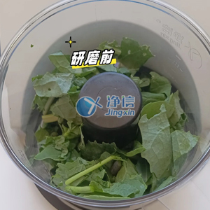 刀式研磨儀高效研磨新鮮油菜葉實驗全指南